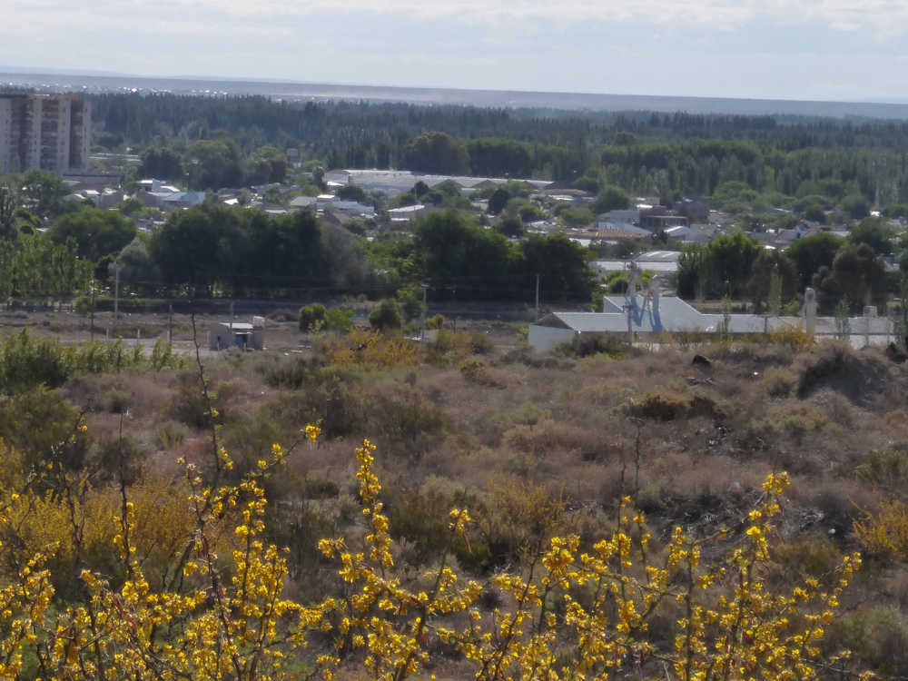 Cinco Saltos, mi pueblo Cinco Saltos, ciudad del lago y las rosas